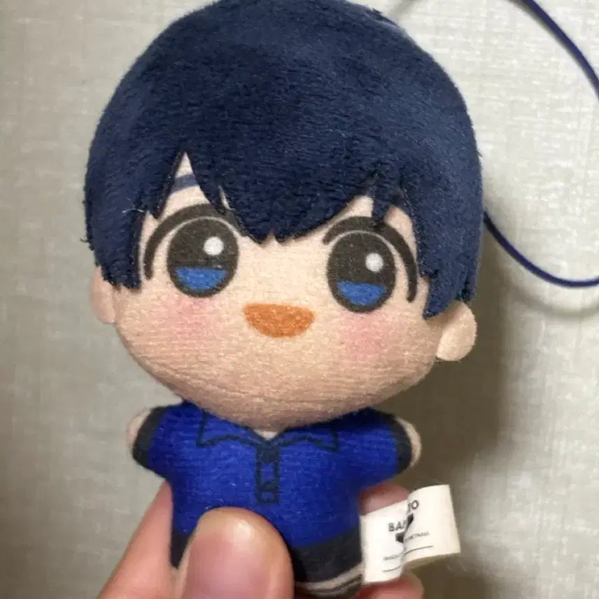 [BUNJANG] Blue Lock Isagi Yoichi Plush / 블루록 이사기요이치 인헝