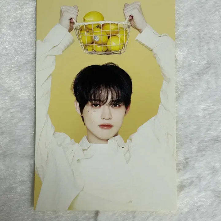 [BUNJANG] NCT Dream Chenle 2026 Season&