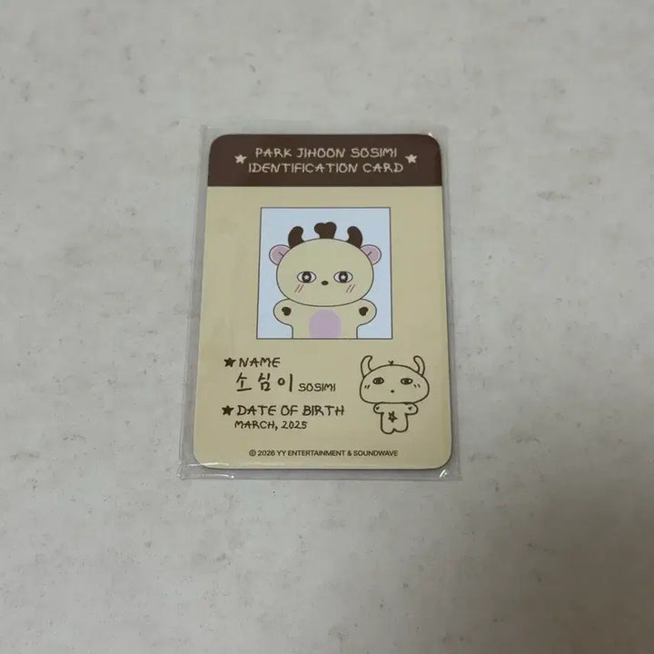 [BUNJANG] Park Jihoon So Simi Photocard / 박지훈 소심이 포카 포토카드