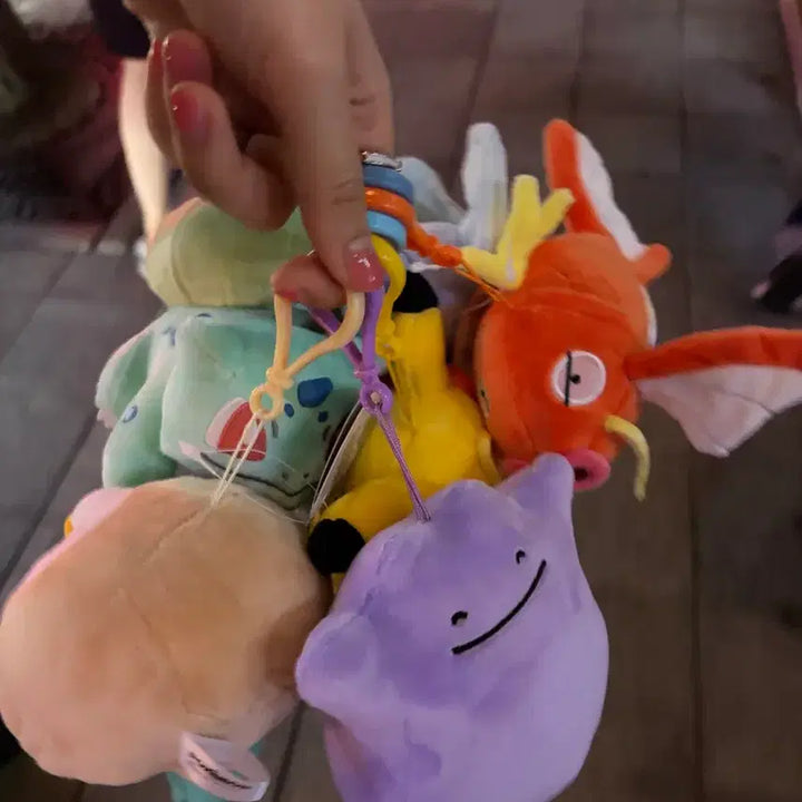 [BUNJANG] Pokemon 4-Piece Trainer Set Plush Toys (Sealed) / 새상품/정품) 포켓몬 4마리 트레이너 되실분 구함