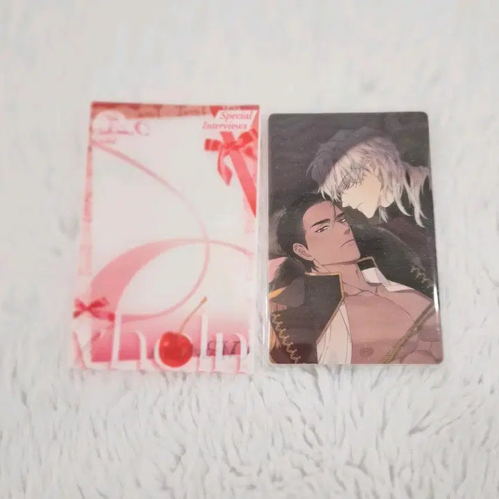 [BUNJANG] Smyrna &amp; Capri Photocard Holder / 스미르나앤카프리 포토카드 포카, 스앤카,오사형