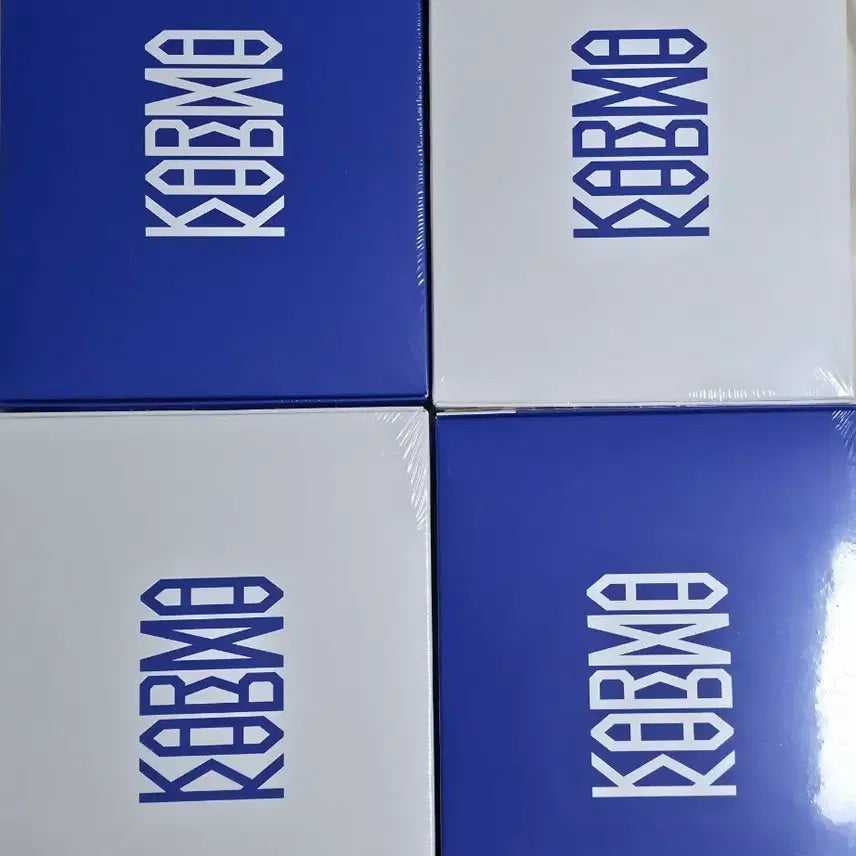[BUNJANG] Stray Kids Karma Album Set (Standard Edition) / 스트레이키즈 카르마 일반반 2장 set 미개봉 양도