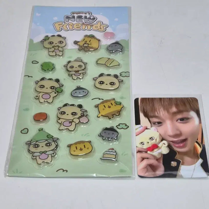 [BUNJANG] Sealed Sosim-i Sticker, Photocard / 미개봉 소심이 팝업 스티커, 포토카드 판매합니다