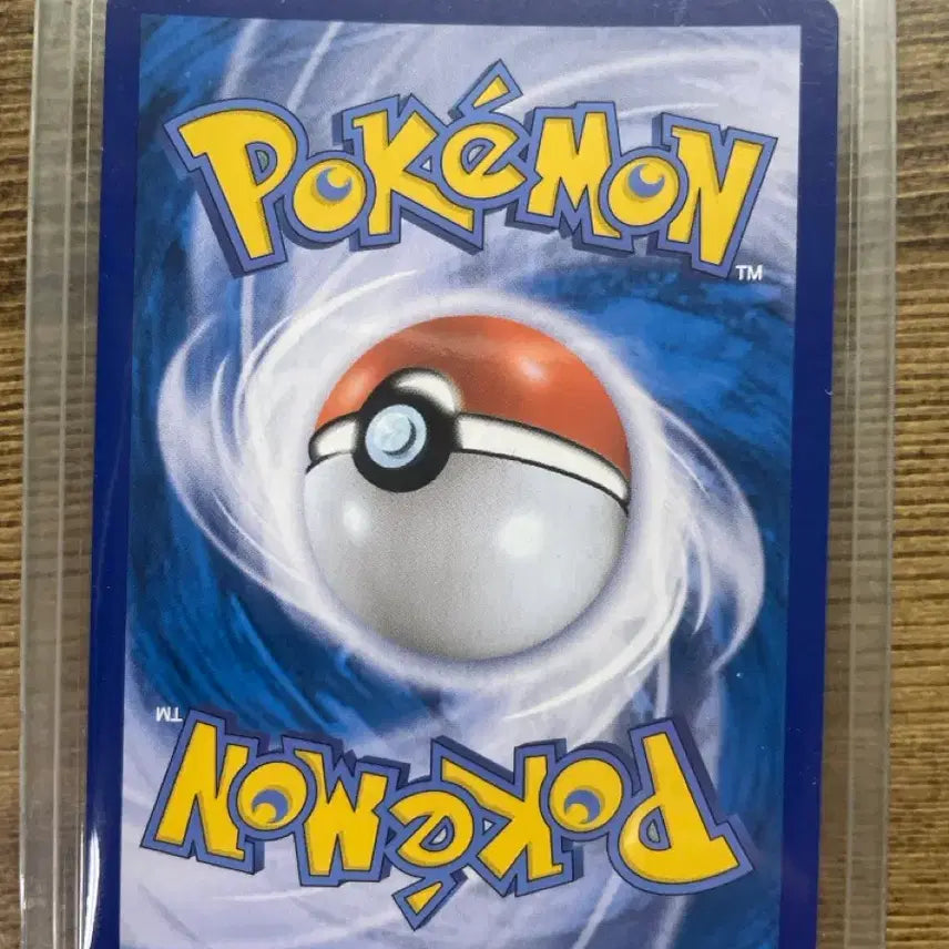 [BUNJANG] Pokemon Pikachu R / 포캣몬고 피카츄 R