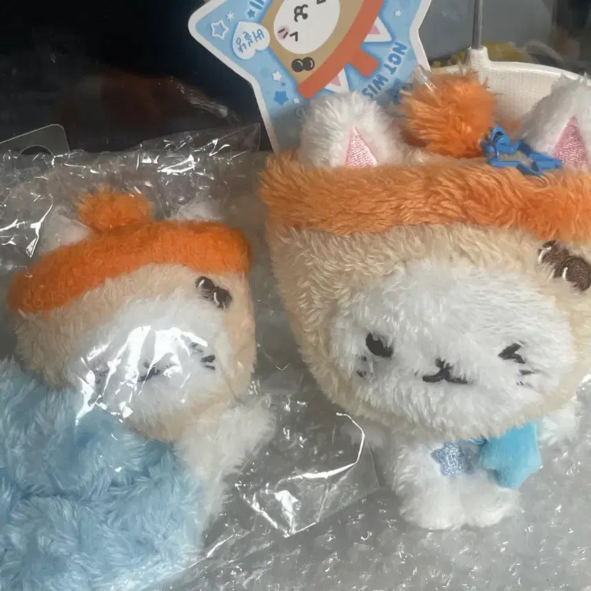 [BUNJANG] NCT WISH Wish Doll Bubble Nyan Original + Scrunchie Bundle Set / (일괄) 엔시티위시 위시돌 버블냥 오리지널+스크런치 양도합니다.