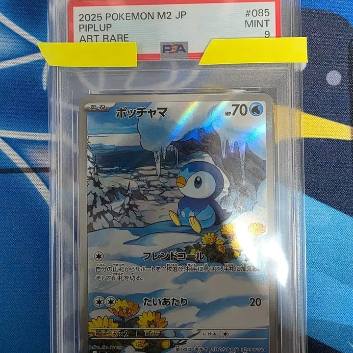 [BUNJANG] Pokemon Turtwig AR PSA 9 / 일판)팽도리 AR PSA9 마지막가격인하 오늘만 이가격