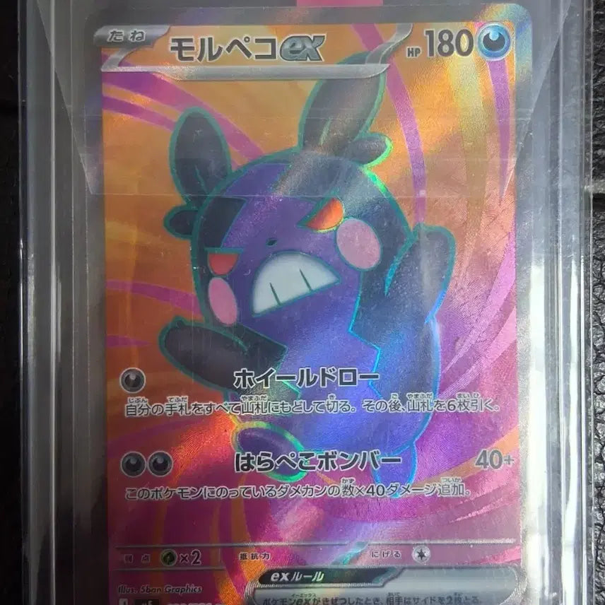 [BUNJANG] Pokemon Card Morpeko SR (Expansion Pack: Abyss Eye) / 포켓몬카드 모르페코 sr (확장팩:어비스아이)
