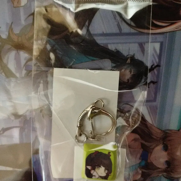 [BUNJANG] Arknights Endfield Changbangyi Keycap Keyring / 명일방주 엔드필드 장방이 키캡 키링 판매합니다