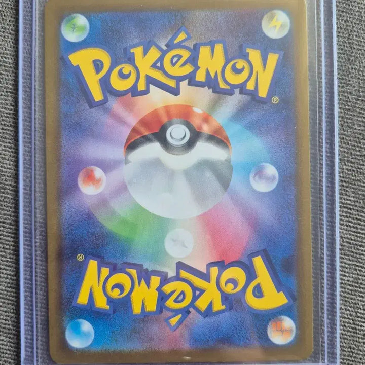 [BUNJANG] Pokemon Terapagos SAR Graded Card / 포켓몬 테라파고스 sar 등급용