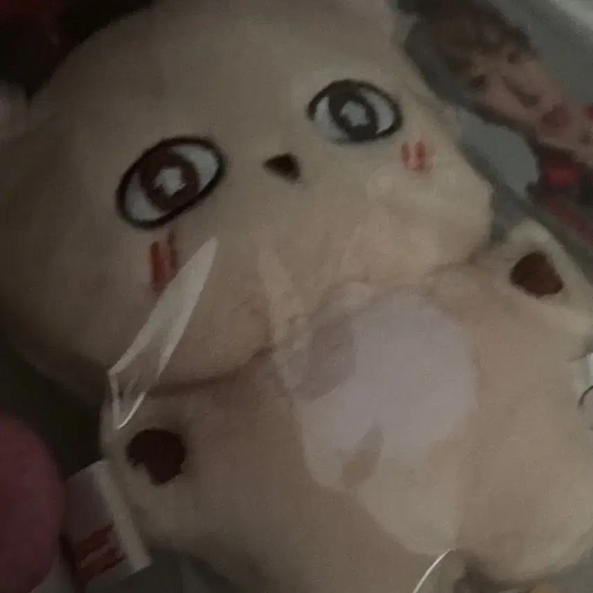 [BUNJANG] Soseumi Doll / 소심이 인형만 양도해요
