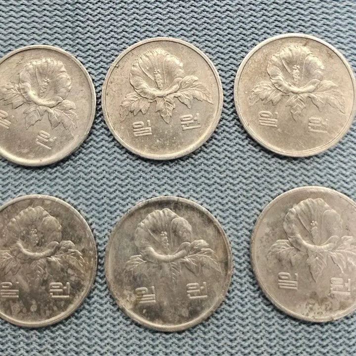 [BUNJANG] 1983 South Korean 1 Won Coins (Bundle of 6) / 1983년 1원 동전 6개 일괄