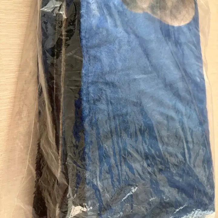 [BUNJANG] EXO Baekhyun Blanket / 엑소 백현 담요 판매합니다