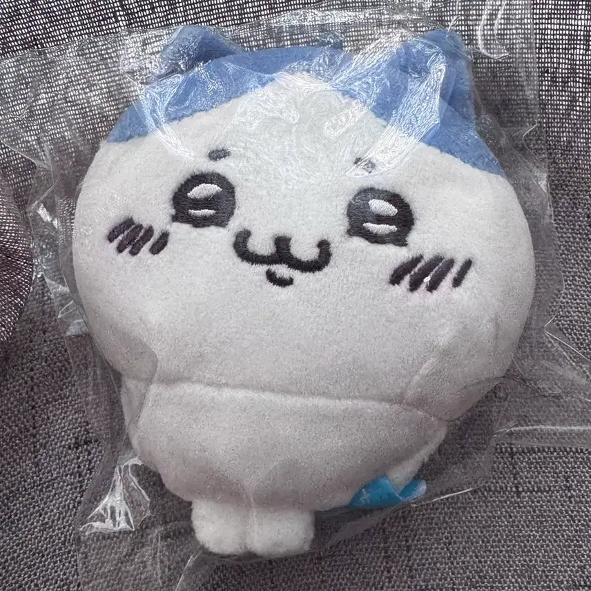 [BUNJANG] Pochacco Hachiwara Plush / 우쭐 하치와레