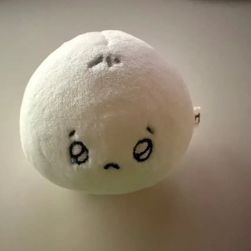 [BUNJANG] Plaeiboi Yejun Plush Doll / 만두쭌 플레이브 예준 비공굿 인형 판매