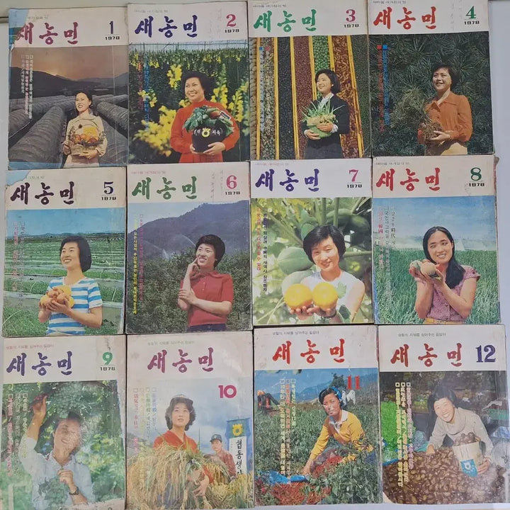 [BUNJANG] 1978 Rural Modernization Archives: Saemaul &amp; Saenongmin Magazine Set (12 Issues) / 근대사 수집 자료 옛날 농촌 새마을 새농민 78년 1년치 12권