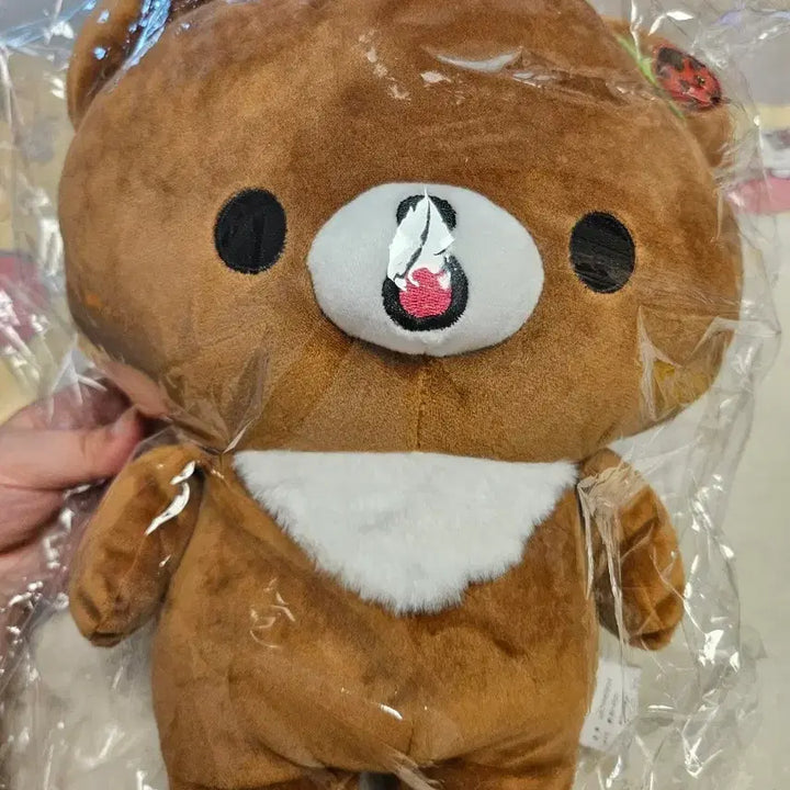 [BUNJANG] Aveil Koguma Large Plush Doll (Sealed) / 아베일 코구마 대형 인형 미개봉(마지막가격)