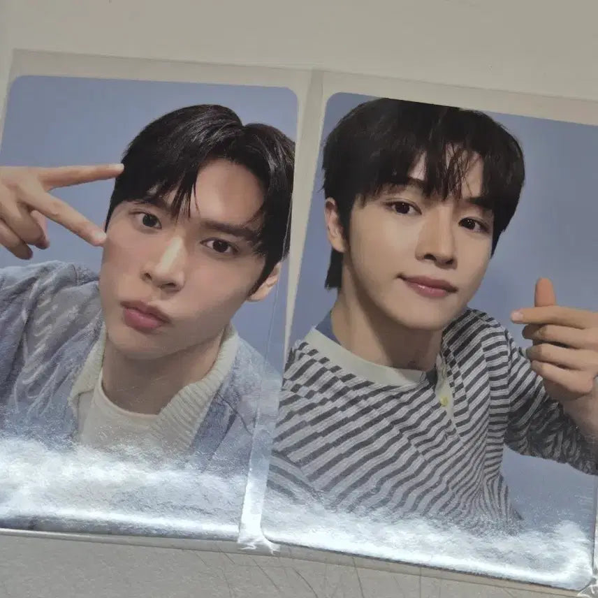 [SOLD OUT] 라이즈 팝업 5만원 특전 포카 성찬 은석 영원즈