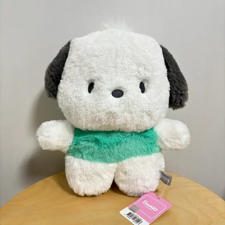[BUNJANG] Sanrio Pochacco Standing Medium Plush Doll Mint / [신제품] 정품 산리오 포차코 스탠딩 중형 봉제인형 민트