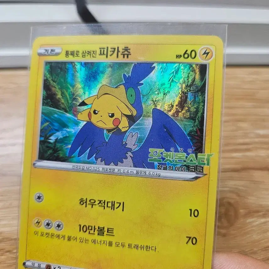 [BUNJANG] Pokemon Card Pikachu (Swallowed Whole) &amp; Charizard Set / 포켓몬 카드 통째로 삼켜진 피카츄 (통삼피),리자몽 등
