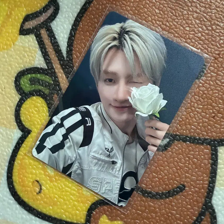 [BUNJANG] TWS IS WE Beijing Jihoon Photocard / 투어스 이즈위 베이징 지훈