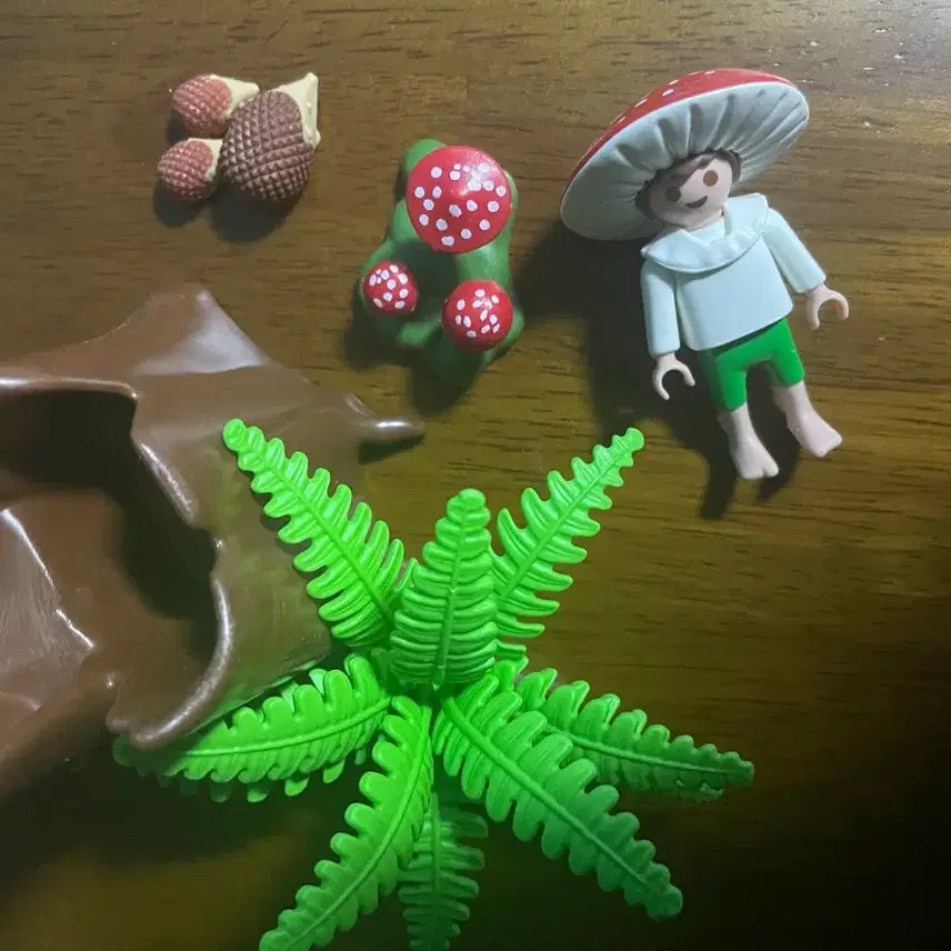 [BUNJANG] Playmobil Mushroom Fairy / 플레이모빌 버섯요정