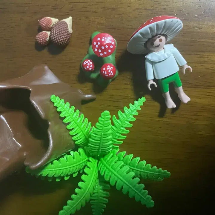 [BUNJANG] Playmobil Mushroom Fairy / 플레이모빌 버섯요정