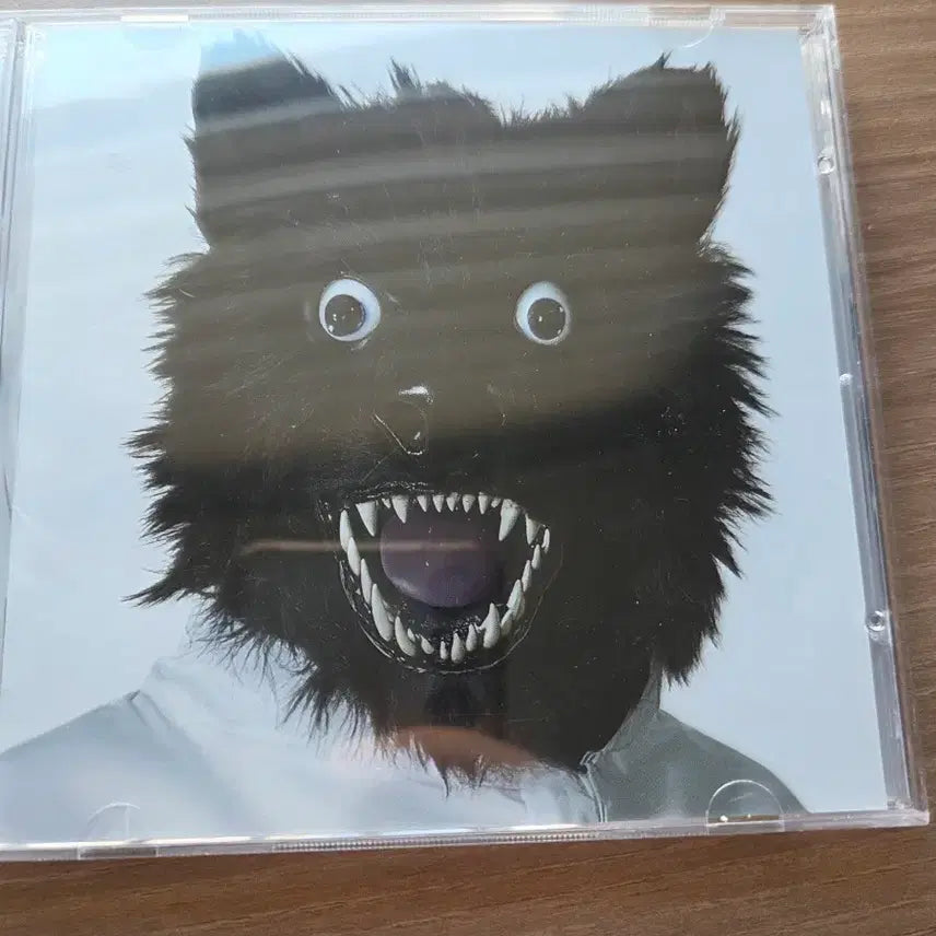 [BUNJANG] Vise Versa Animal Perjury Signed Album / 바이스벌사 애니멀퍼커리 사인반 + 잡지
