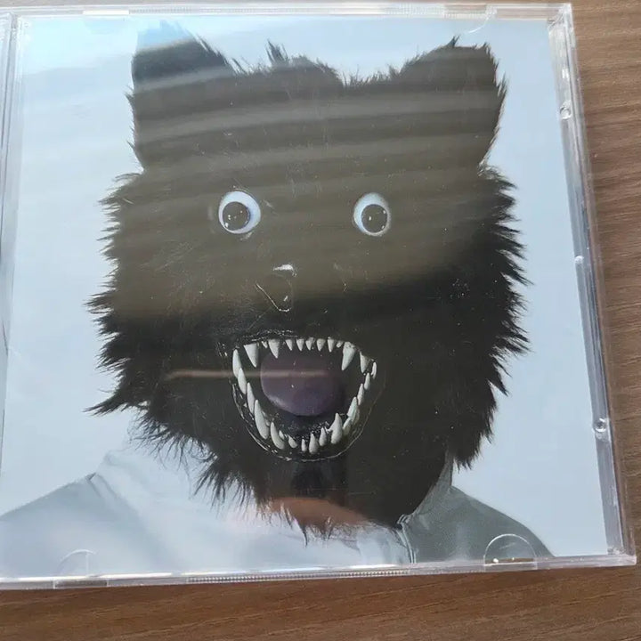 [BUNJANG] Vise Versa Animal Perjury Signed Album / 바이스벌사 애니멀퍼커리 사인반 + 잡지