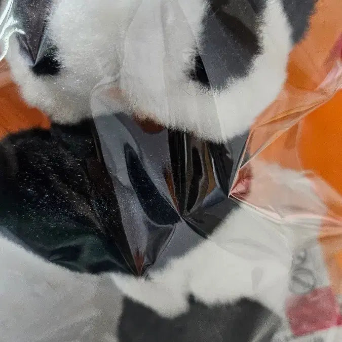 [BUNJANG] Everland Bao Family Panda Hanging Magnet / 정가이하 )바오패밀리 판다 매달려 봉지 마그넷 에버랜드