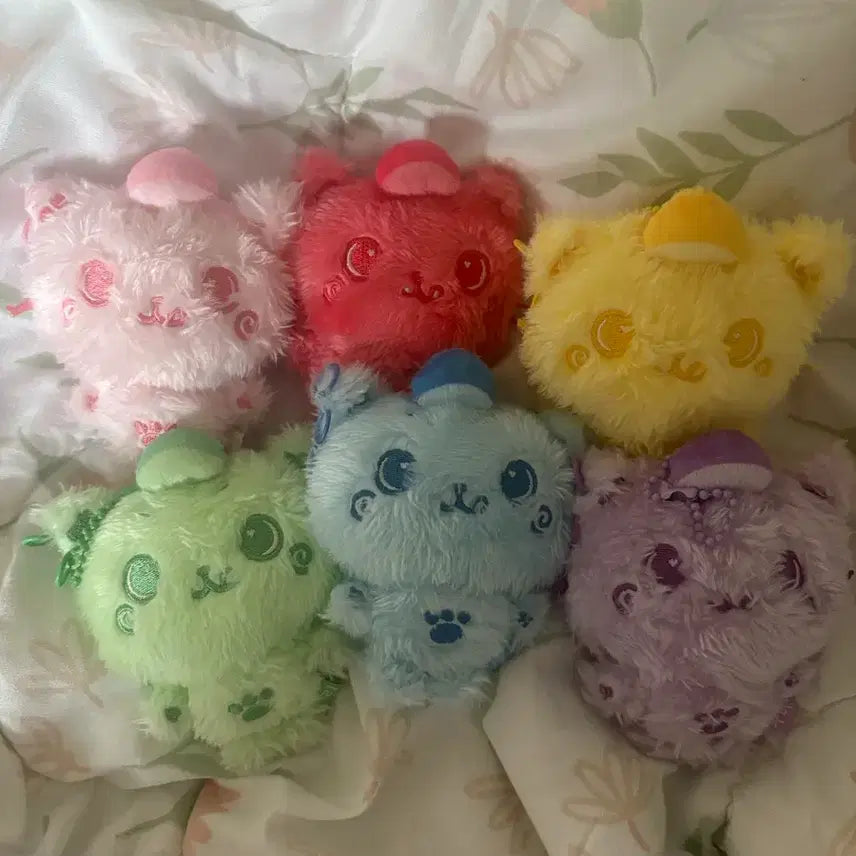 [BUNJANG] Color Doll Kuri Bundle Set / 컬러돌 리쿠 쿠리 일괄