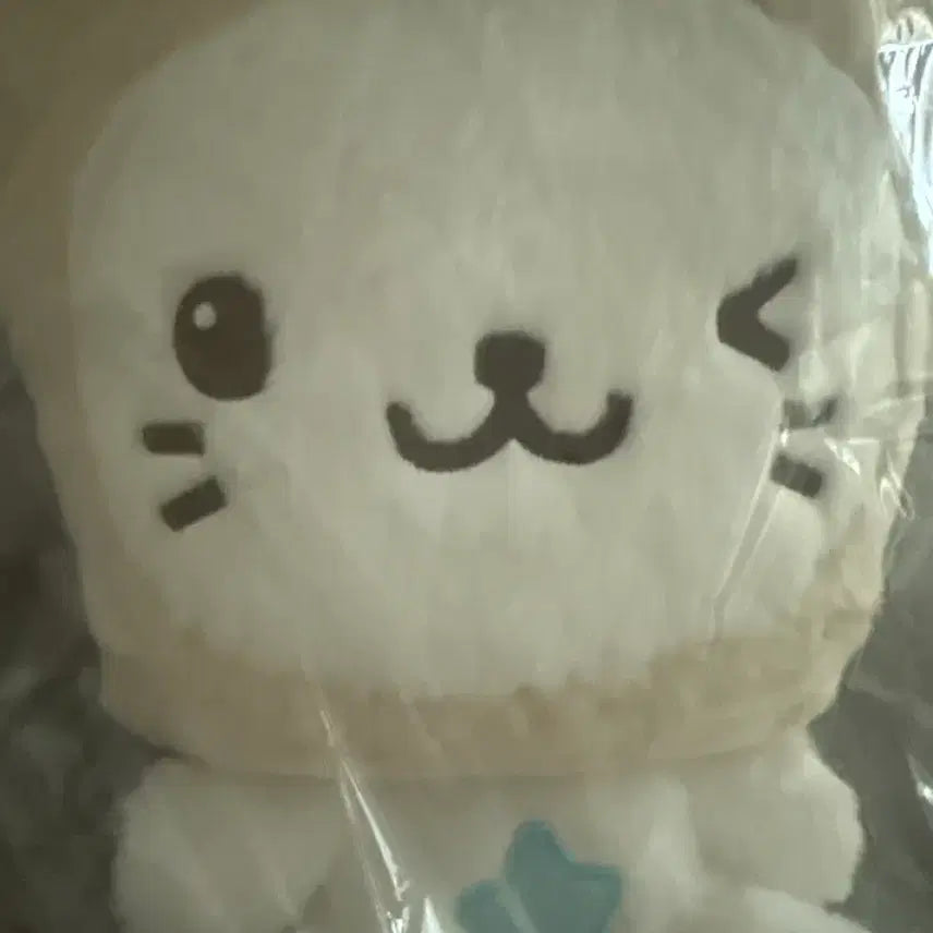[BUNJANG] 30cm Bubble Cat Yuushi Doll / 30cm 버블냥 유우시 인형 버블냥 쿠리 위시돌 인형