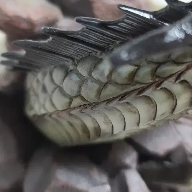 [BUNJANG] TVLeague 1/6 Dragon Diorama Base / 티비리그 1/6 드래곤 베이스