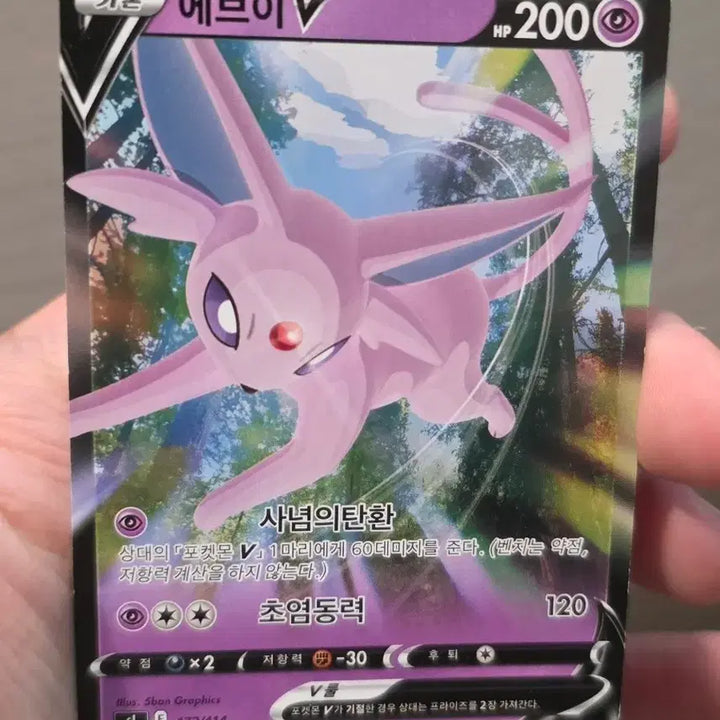 [BUNJANG] Pokemon Eevee V Matte Graded Card / 포켓몬카드 에브이 V 무광 A-급