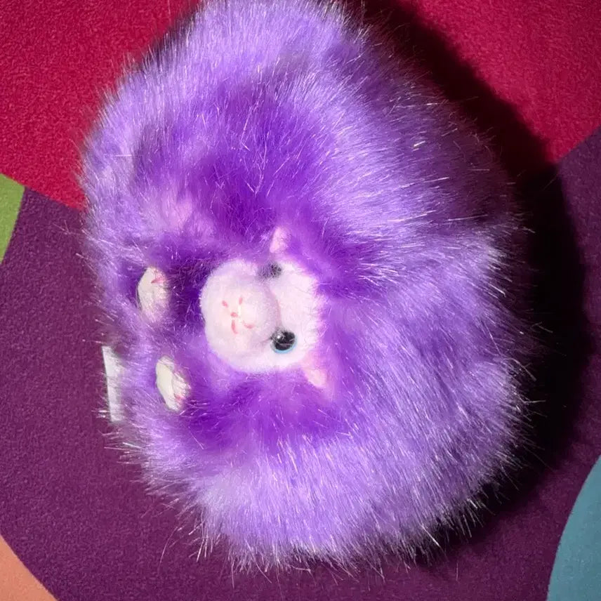 [BUNJANG] Harry Potter Universal Studios Pygmy Puff Plush / 해리포터 유니버셜 스튜디오 피그미퍼프
