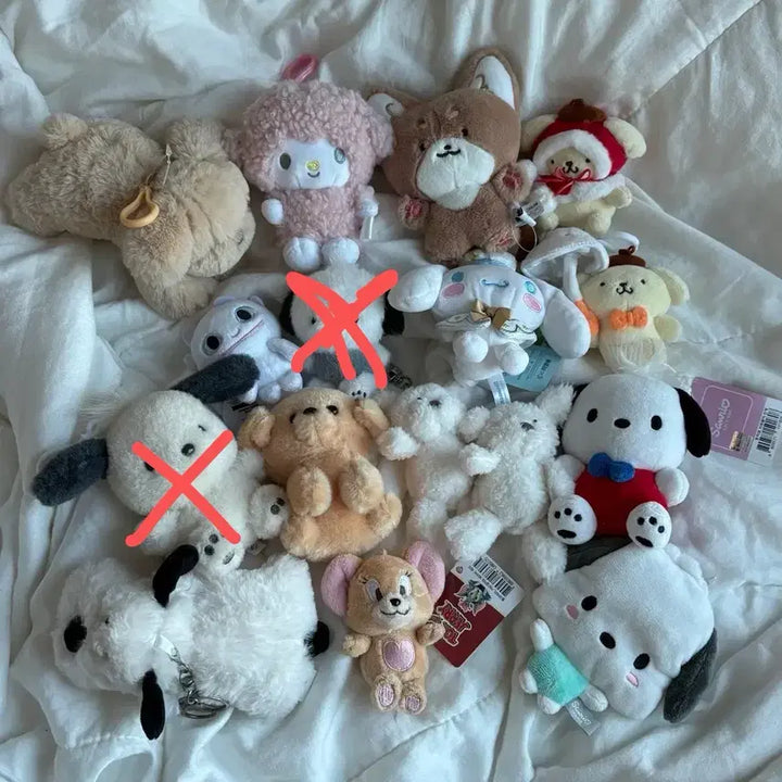 [BUNJANG] Sanrio Pochacco, Pompompurin, How to Train Your Dragon Plush Bundle Set / 산리오 포차코 폼폼푸린 드레곤길들이기 인형 일괄