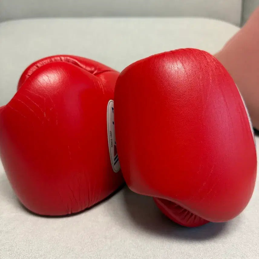[BUNJANG] Winning 12oz Velcro Boxing Gloves Red / 위닝 12온스 벨크로 레드