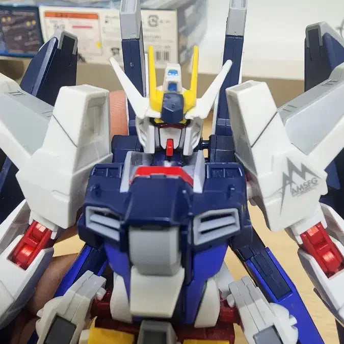 [BUNJANG] Amazing Strike Freedom Gundam (Junk) / 어메이징 스트라이크 프리덤 건담 (정크)