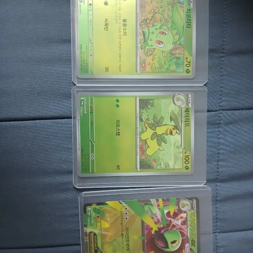[BUNJANG] Pokemon Card Chikorita/Bayleef/Meganium MP Set / 포켓몬 카드 치코리타/베이리프/메가 메가니움 MP