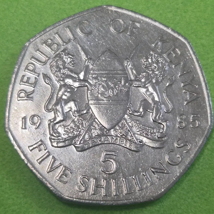 [BUNJANG] 1985 Kenya 5 Shillings Coin / 1985 케냐 5실링 동전 M3643