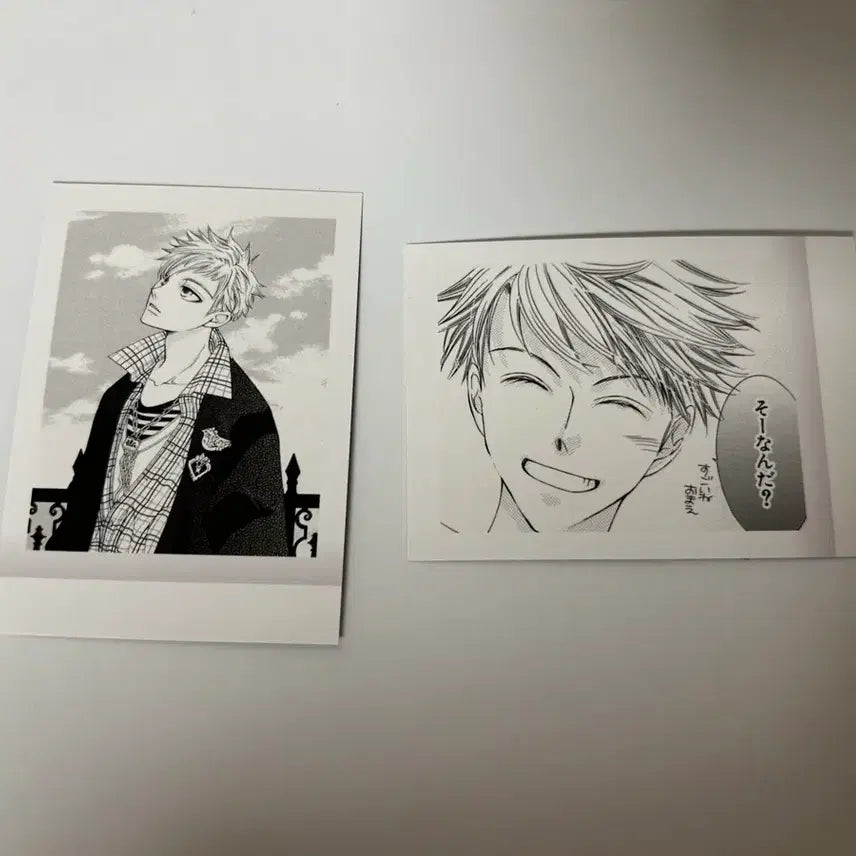 [BUNJANG] Ouran High School Host Club Hikaru Hitachiin Kaoru Pair "Pasha" Bundle Set / 오란고교 호스트부 히타치인 히카루 카오루 파샤 일괄