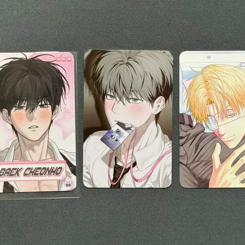 [BUNJANG] Misterblue Baekcheonho Ricky Photocard Bundle / 미스터블루 미블 입장특전 포카 사용후 반품불가 불굴의 챔피언