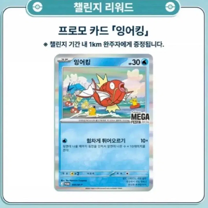 [BUNJANG] Pokemon Magikarp Promo (2nd Edition) / 포켓몬 잉어킹 프로모 (2차수)