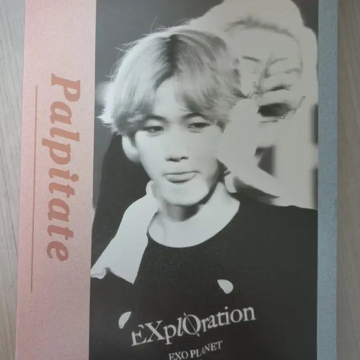 [BUNJANG] Baekhyun Chanyeol Photobook / 백현 찬열 포토북