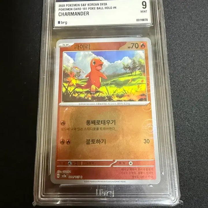 [BUNJANG] Pokemon Card 151 Charmander Monster Ball Holo Graded Card / 포켓몬카드 151 파이리 몬스터볼 홀로(brg9) 등급카드