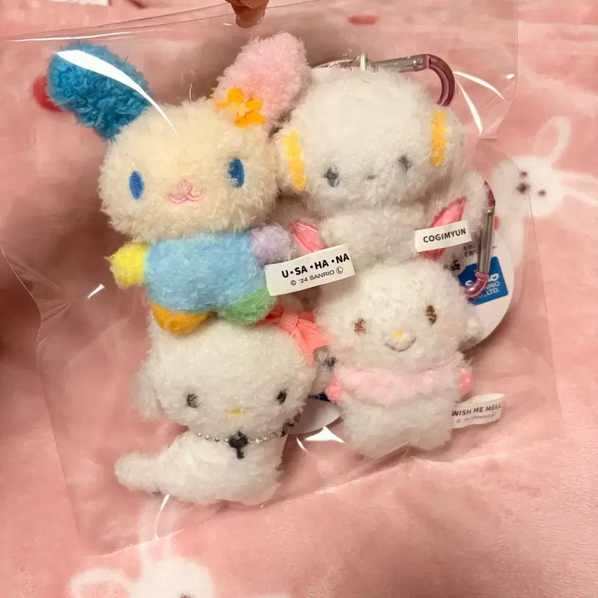 [SOLD OUT] (새상품, 정품) 산리오 뽀실이 미니 세트