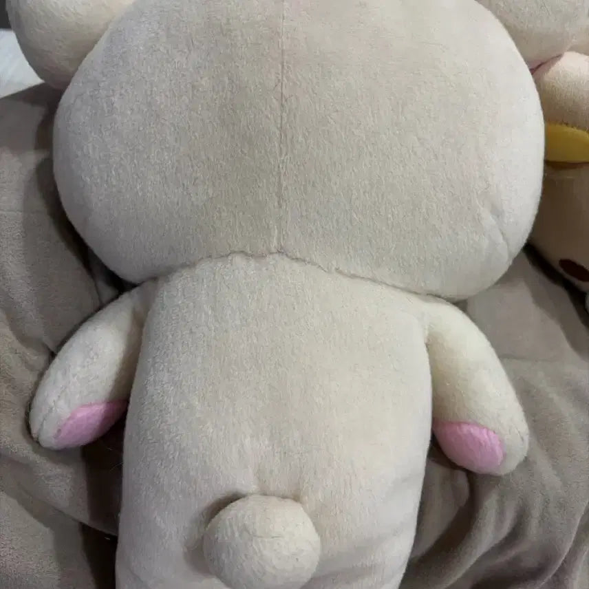 [BUNJANG] Medium Rilakkuma Korilakkuma Plush / 중형 코리락쿠마 인형