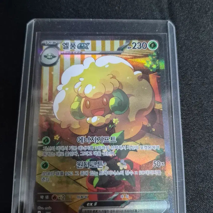[BUNJANG] Pokemon Card Reshiram and 3 Cards / 포켓몬카드 N의 레시라무 및3장