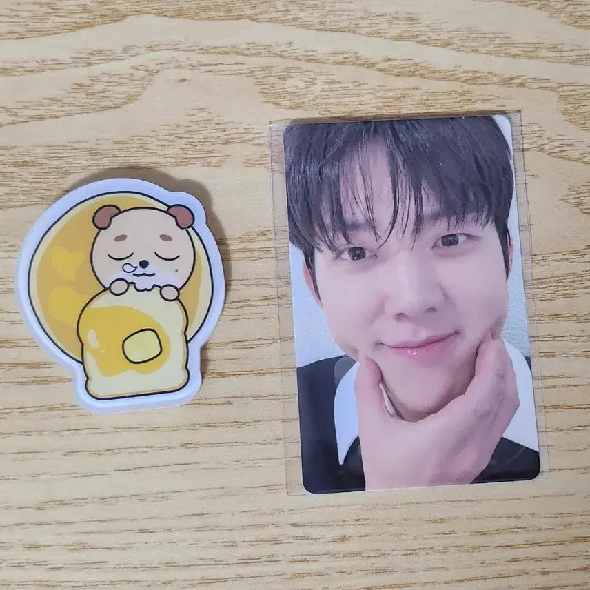 [BUNJANG] DAY6 Dowoon Bundle Set Photocard / 일괄) 데이식스 대전마그넷,4만원포카 도운