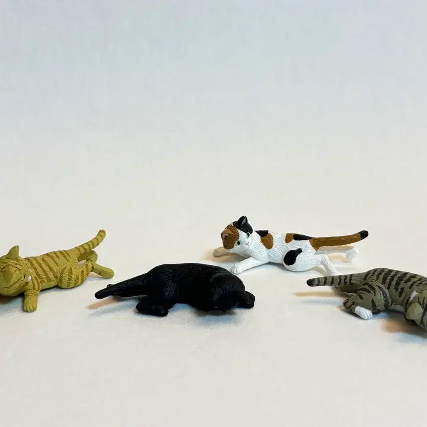 [BUNJANG] Cat Magnet / 고양이 마그넷