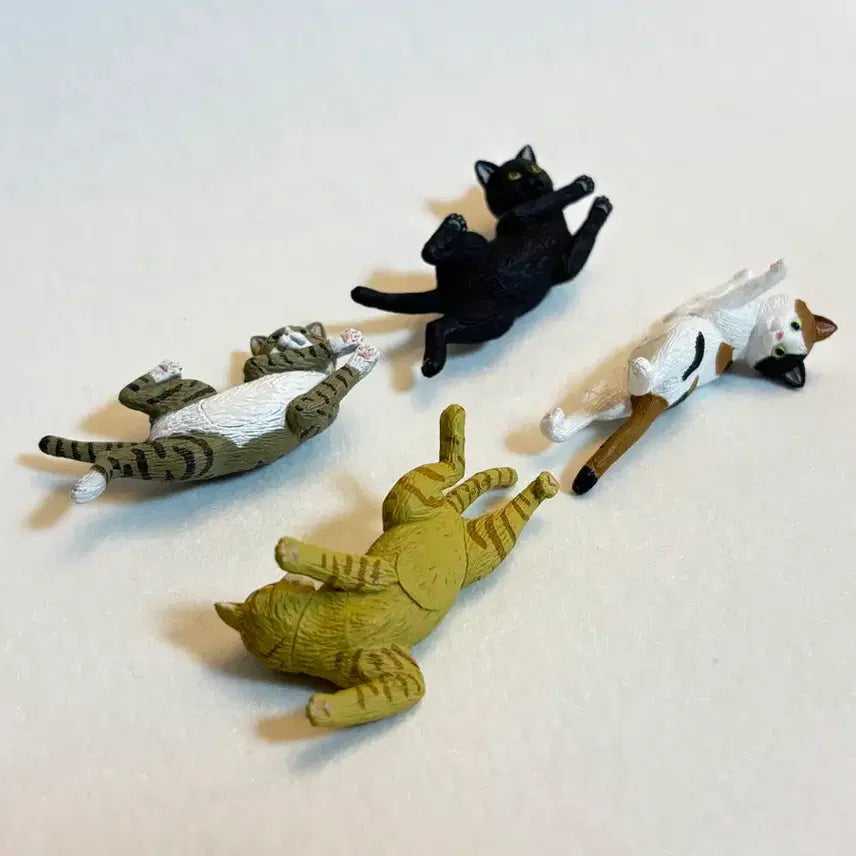 [BUNJANG] Cat Magnet / 고양이 마그넷